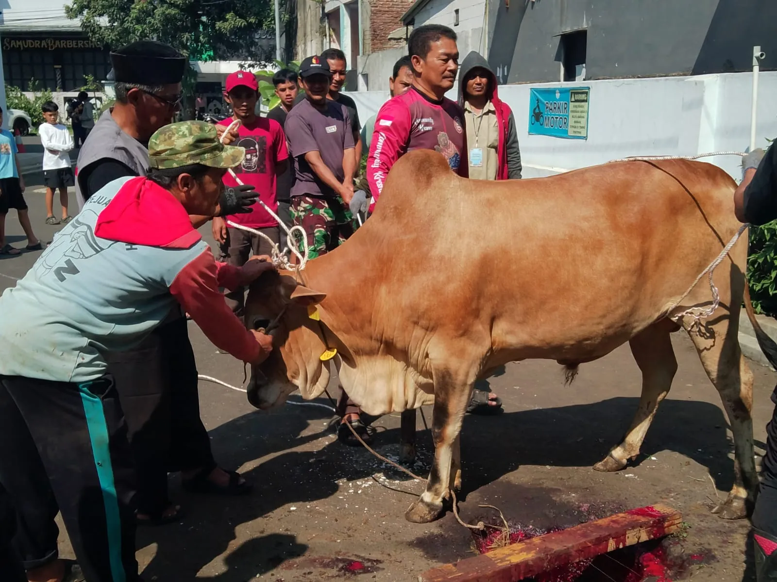 Masjid Besar Ciparay Gelar Pemotongan Hewan Qurban, 1.500 Warga Terima Daging Qurban